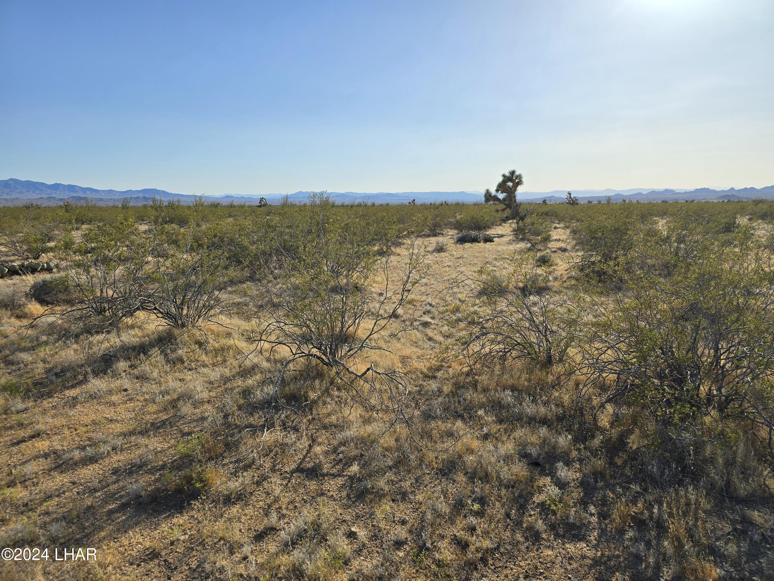 3387 South Custer Road Yucca, AZ 86438 - Photo 15 of 17 20240428_173236