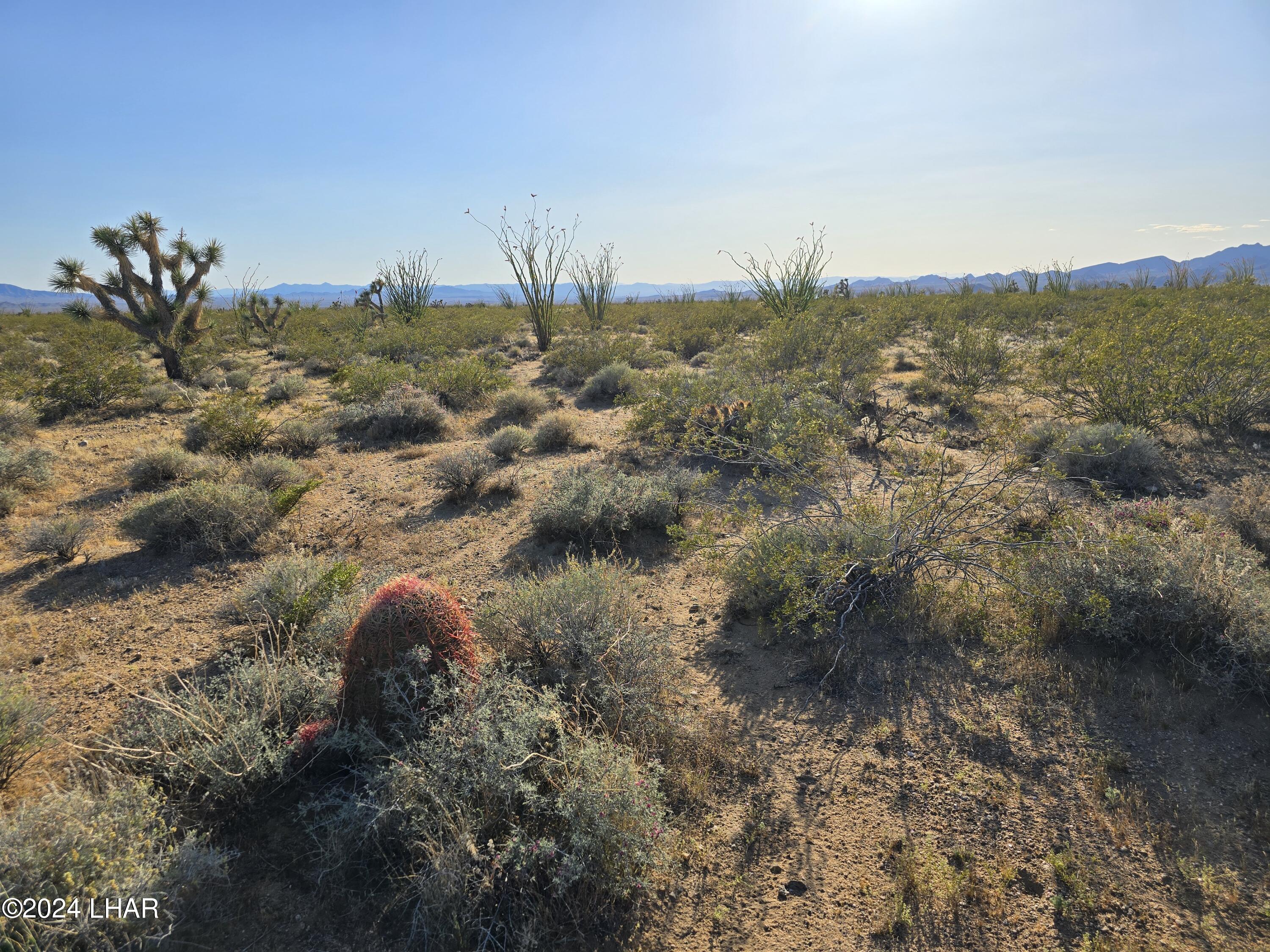 3387 South Custer Road Yucca, AZ 86438 - Photo 7 of 17 20240428_173842