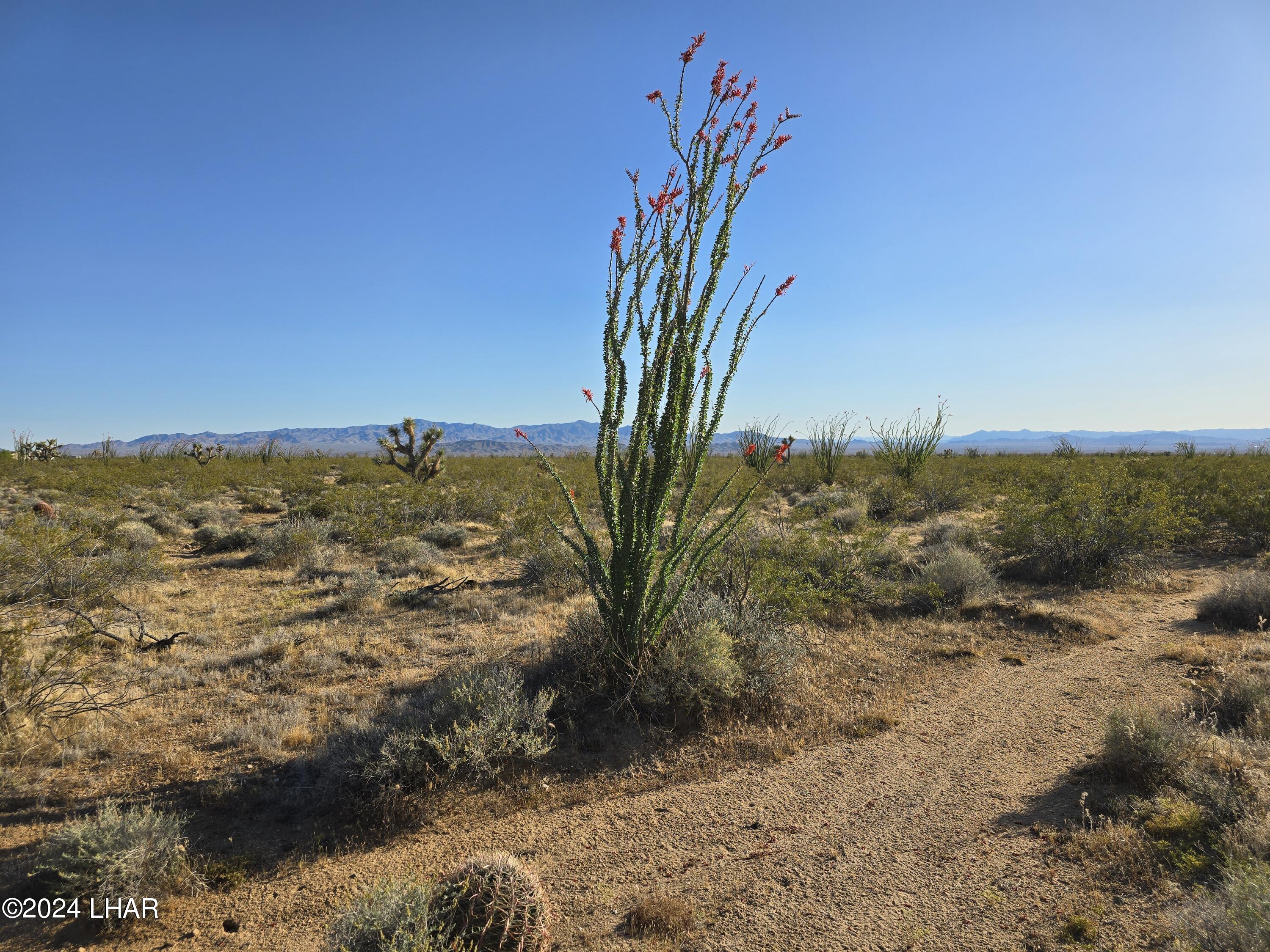 3387 South Custer Road Yucca, AZ 86438 - Photo 8 of 17 20240428_173740