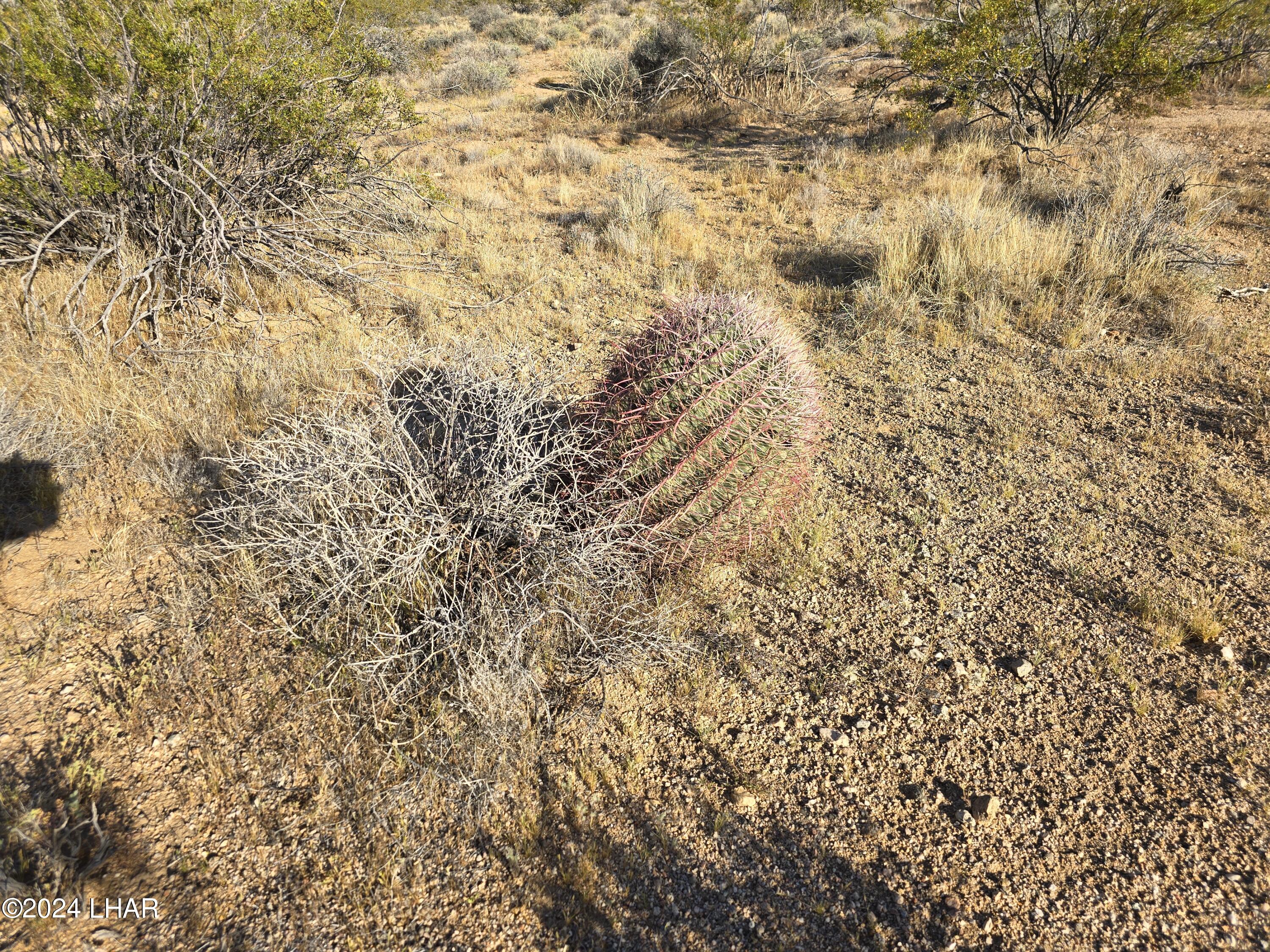 3387 South Custer Road Yucca, AZ 86438 - Photo 9 of 17 20240428_173716