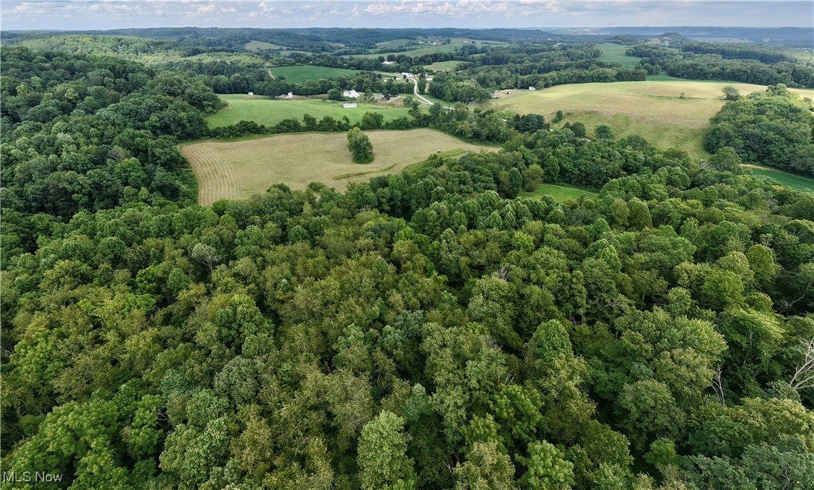 294 County Road Conesville, OH 43811 - Photo 19 of 39 Aerial overview of property's location with a heavily wooded area and rural landscape