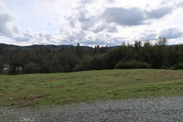 a view of outdoor space with trees all around