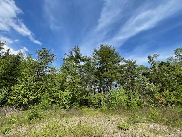 Map5-lot6 Youngs Cove Road Pembroke, ME 04666 - Photo 2 of 30 IMG_7173 (2)