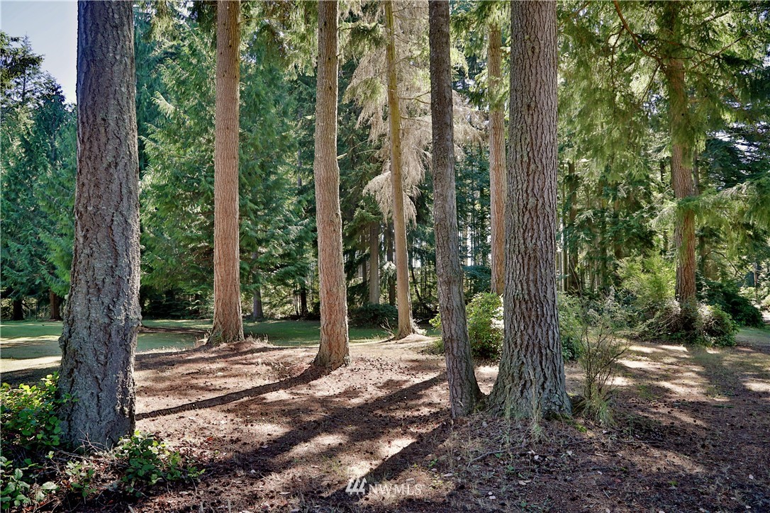 4075 Junco Road Greenbank, WA 98253 - Photo 36 of 40 Gallery Image 36