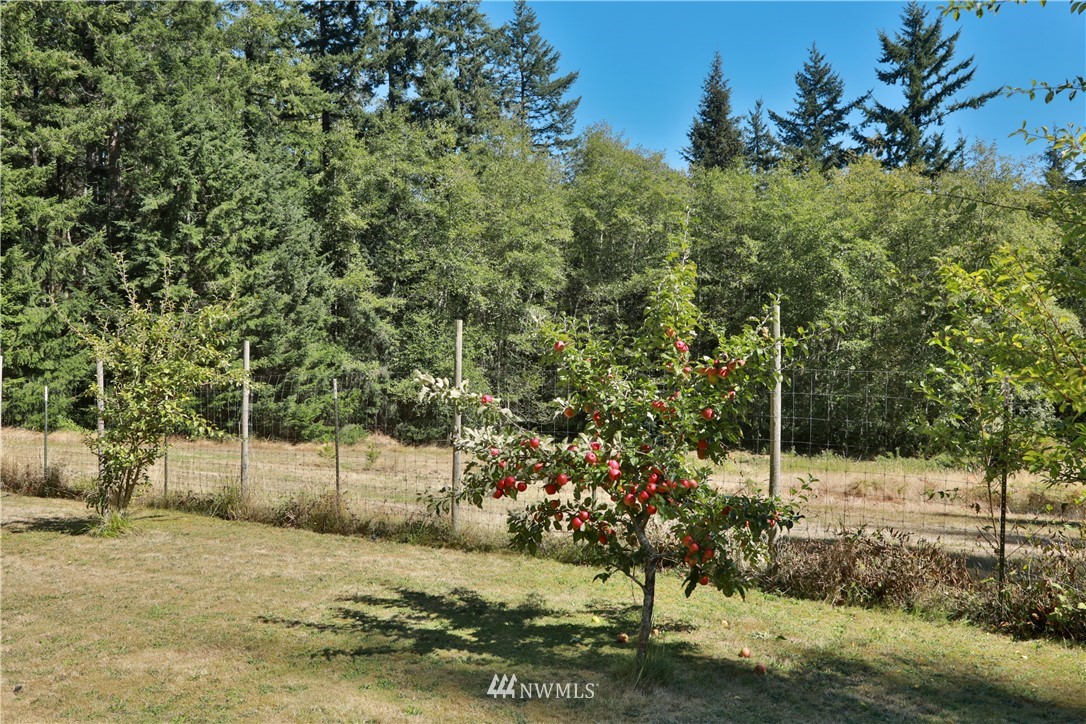 4075 Junco Road Greenbank, WA 98253 - Photo 39 of 40 Gallery Image 39