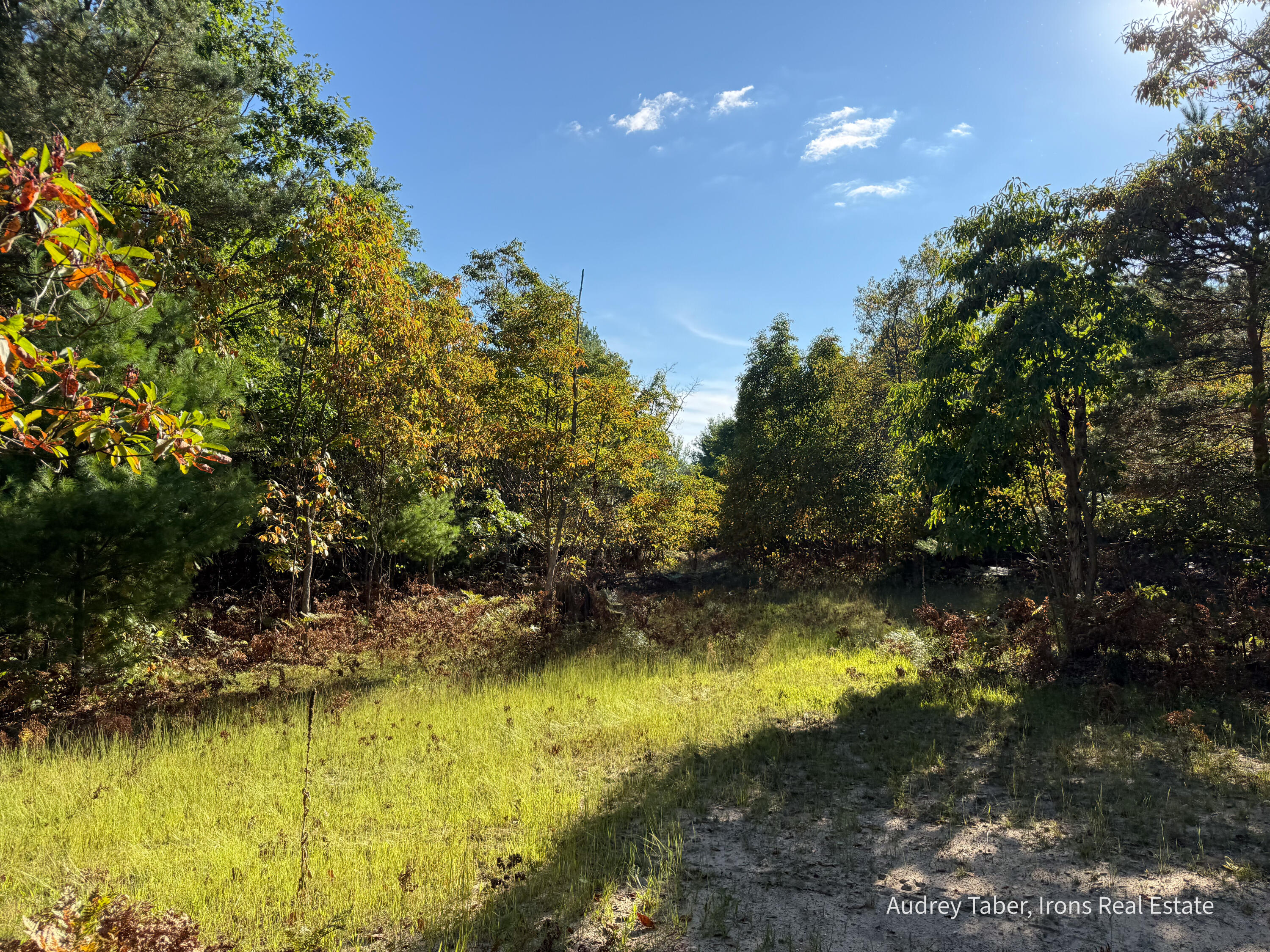 2 Clements Road Kaleva, MI 49645 - Photo 20 of 56 ClementsRd-63