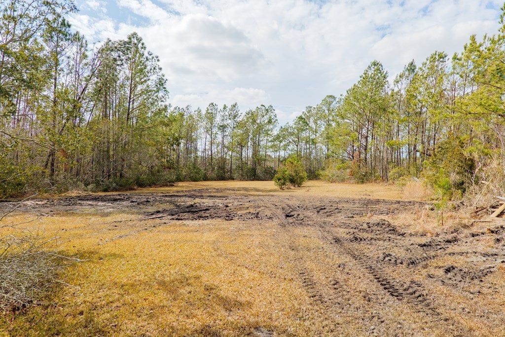 4568 Boring Pond Road Valdosta, GA 31606 - Photo 29 of 42 Gallery Image 29