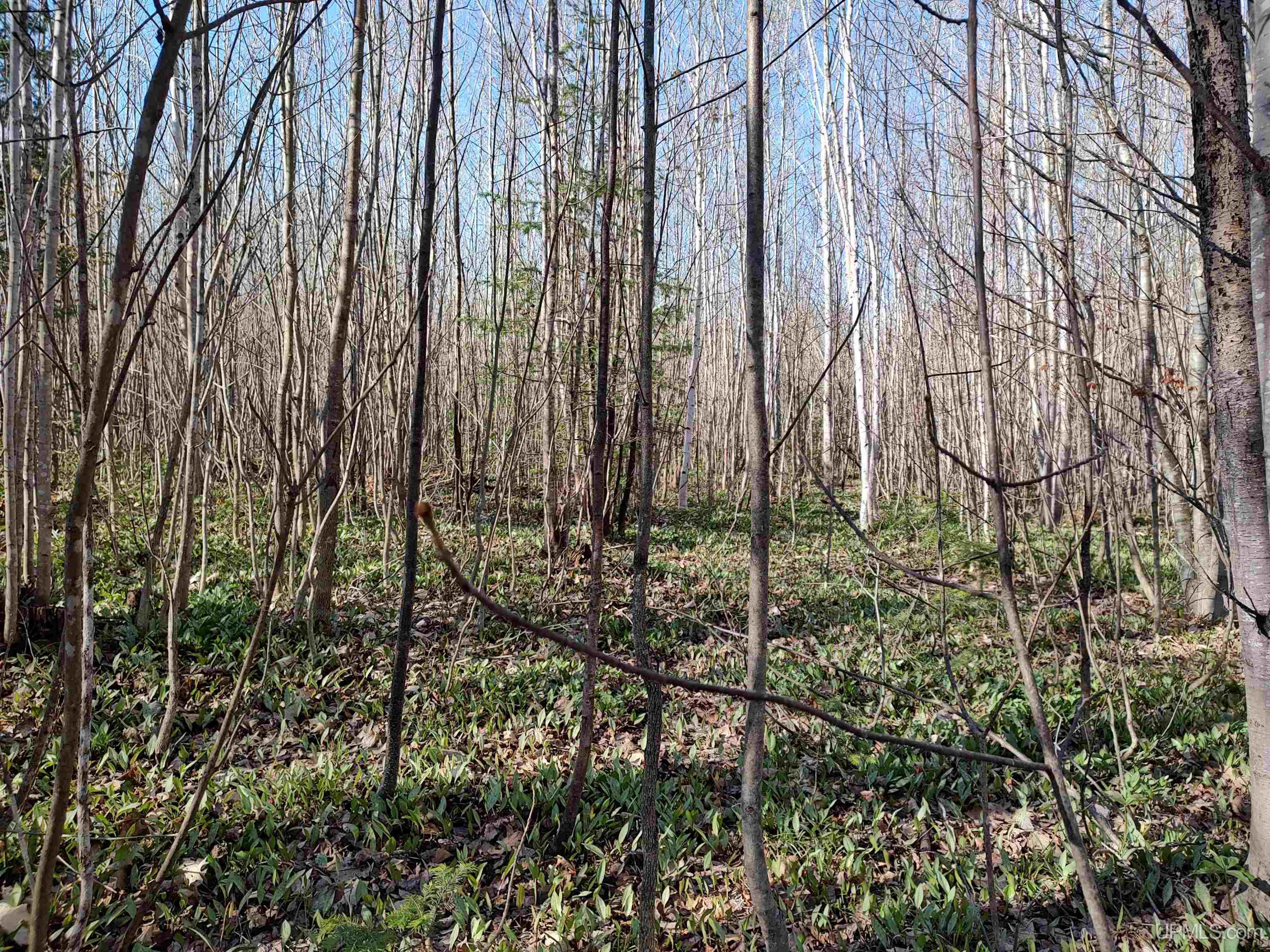 Tbd Tbd Schooner Road Ontonagon, MI 49953 - Photo 15 of 44