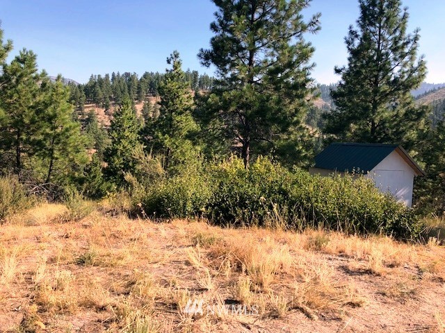 0 Swanson Gulch Road Manson, WA 98831 - Photo 22 of 25 Gallery Image 22