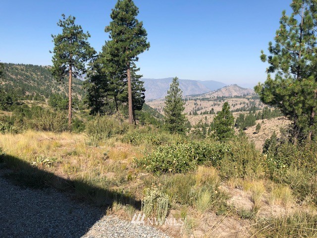 0 Swanson Gulch Road Manson, WA 98831 - Photo 8 of 25 Gallery Image 8