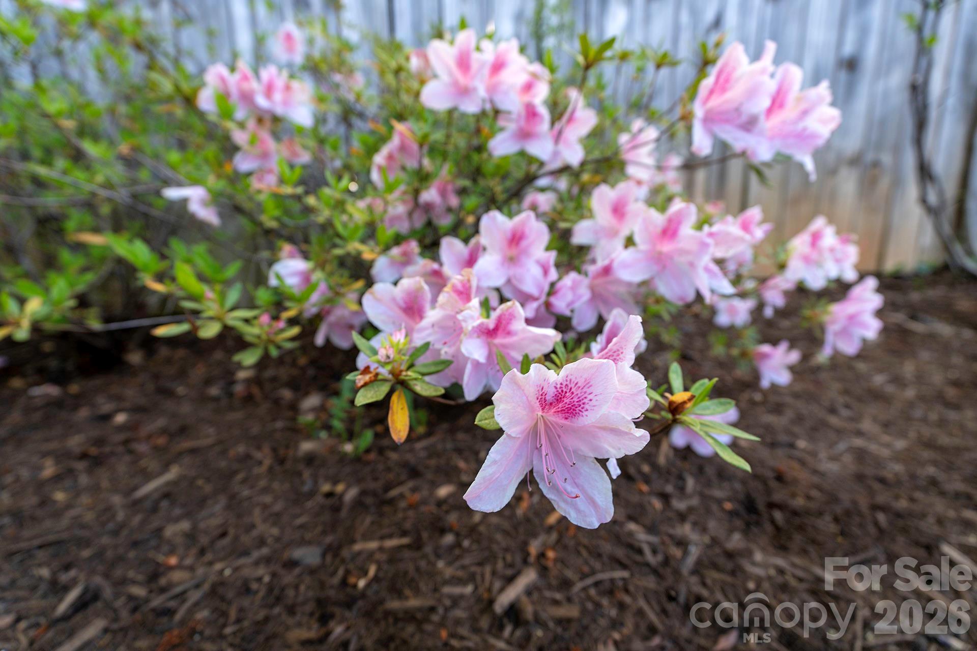 34 Oakley Road Asheville, NC 28803 - Photo 11 of 13