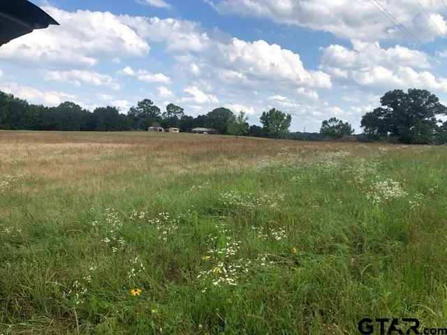 a view of lake with green space