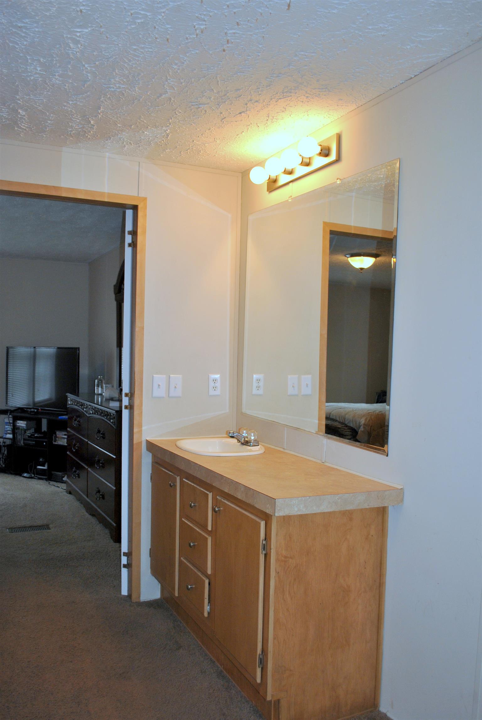 812 Dale Ridge Road Dowelltown, TN 37059 - Photo 19 of 21 a bathroom with a sink a vanity and a mirror