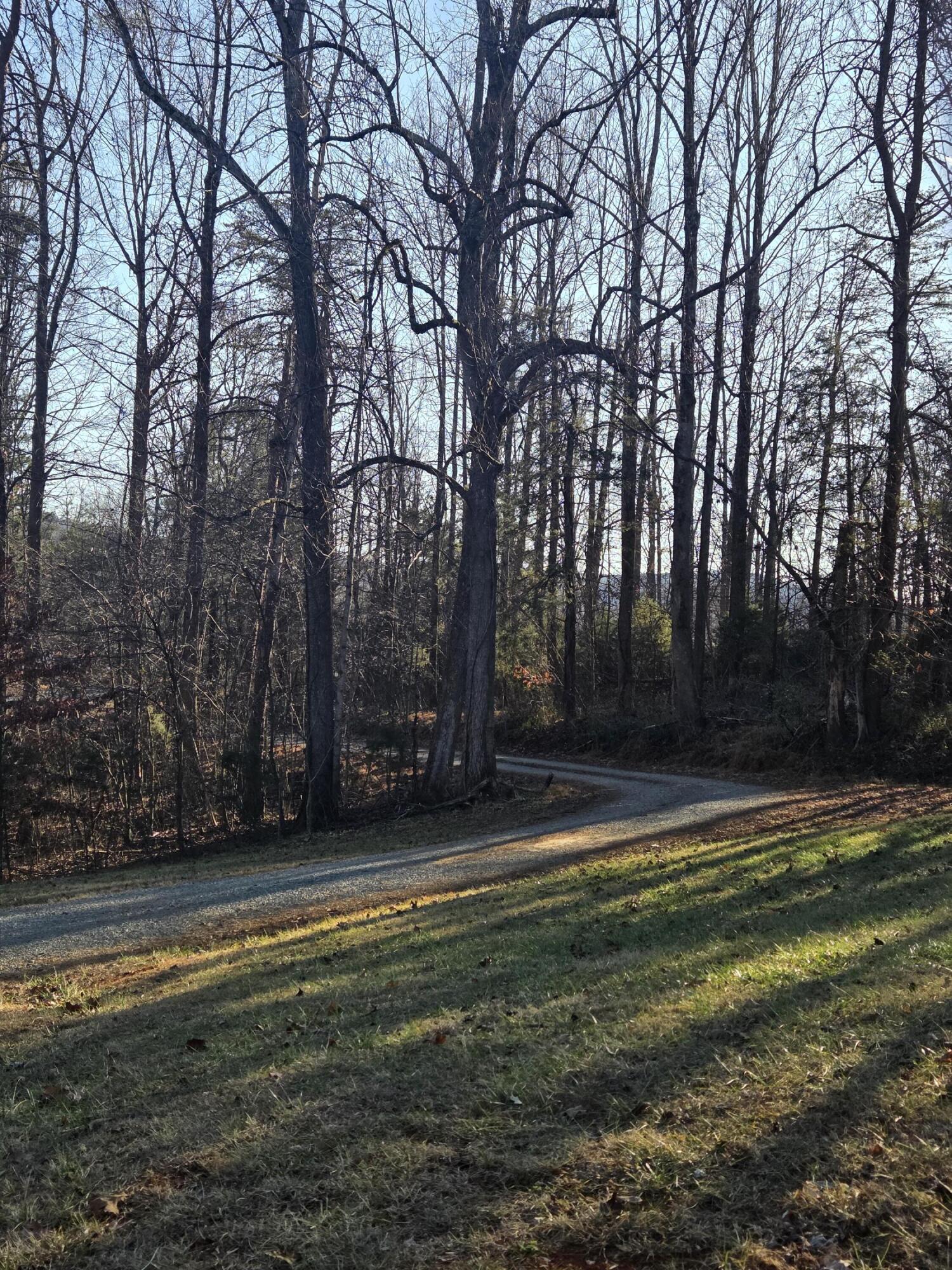 625 Jamestown Road Rocky Mount, VA 24151 - Photo 10 of 11 a view of a backyard with large trees