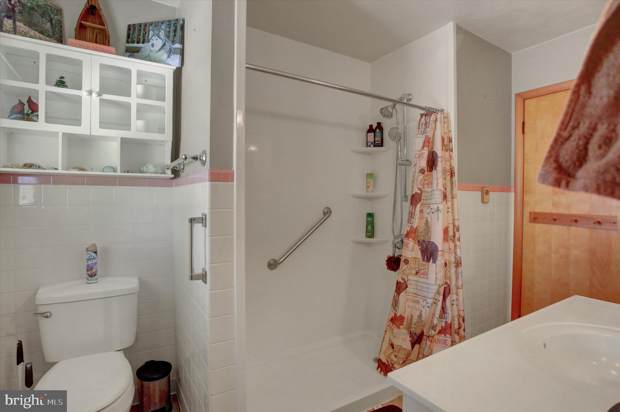 1561 Lakeshore Drive Chambersburg, PA 17202 - Photo 20 of 44 main hall bath