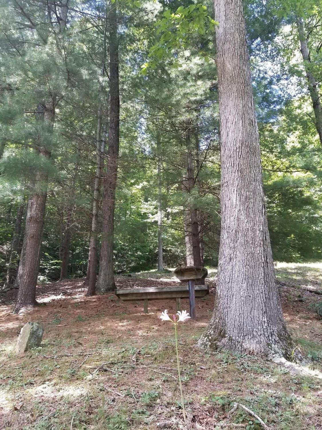 8085 Cranston Road Morehead, KY 40351 - Photo 32 of 39 Photo 32