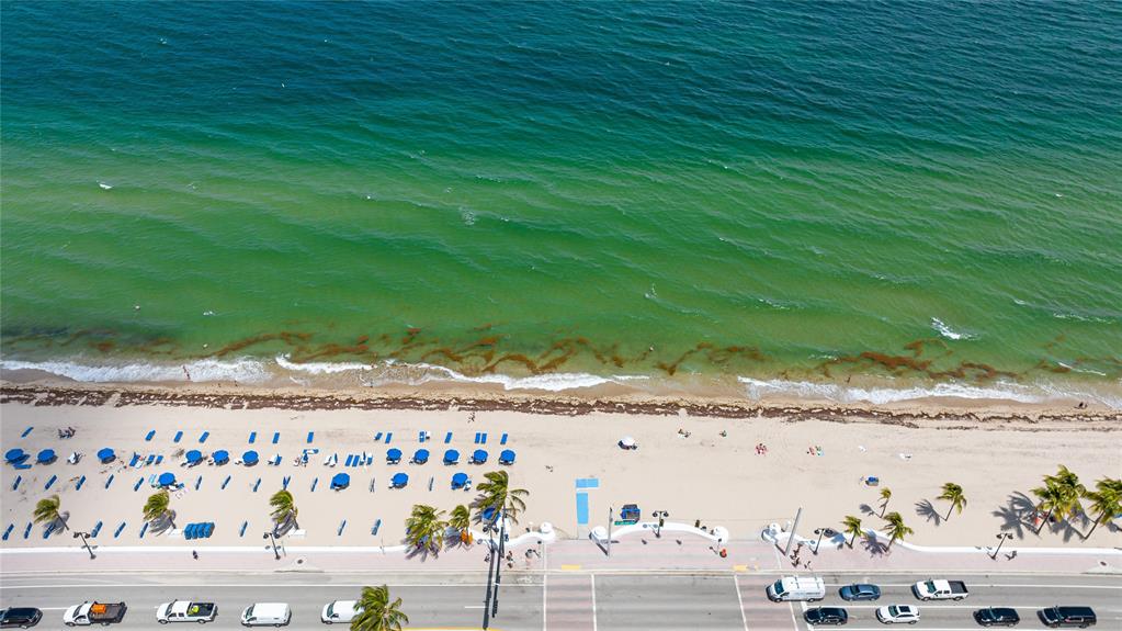 401 North Birch Road, Unit 1212 Fort Lauderdale, FL 33304 - Photo 31 of 40 view of backyard with wooden fence