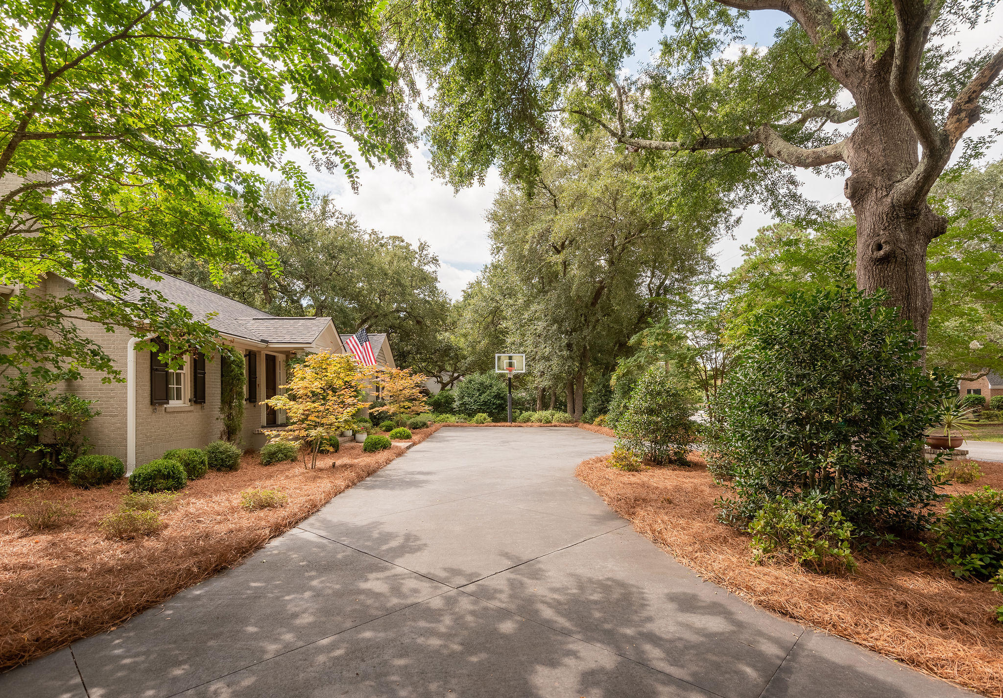 1025 Tall Pine Road Mount Pleasant, SC 29464 - Photo 5 of 69 1025TallPineRoad-5