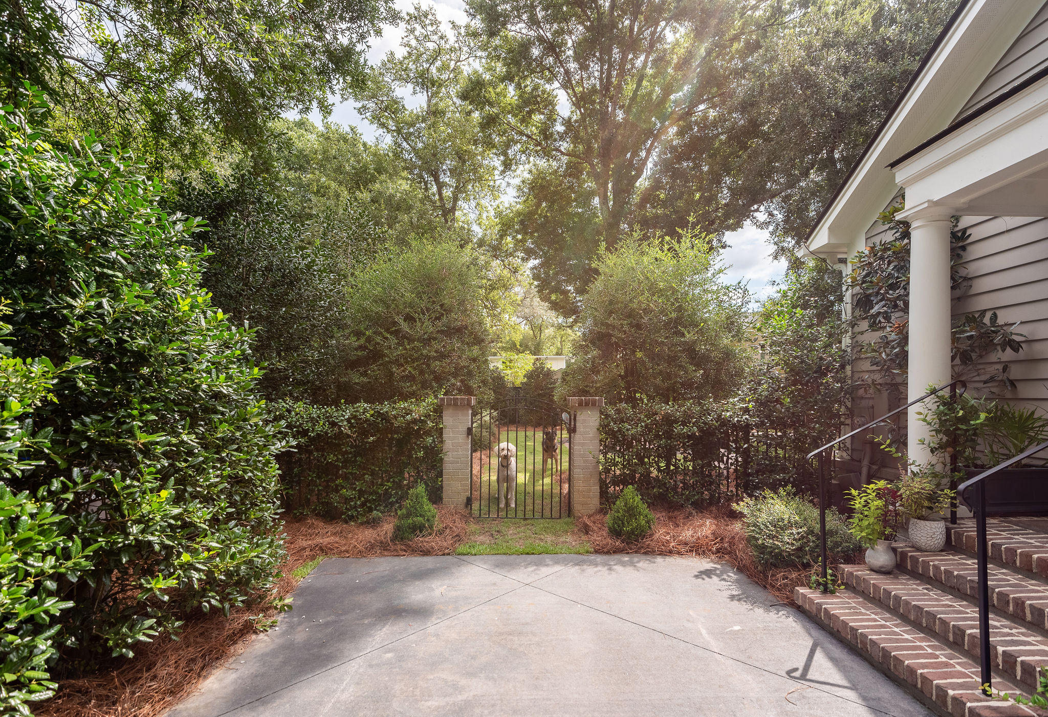 1025 Tall Pine Road Mount Pleasant, SC 29464 - Photo 6 of 69 1025TallPineRoad-6