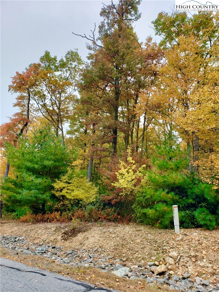 Lot 11-12 Sunset Ridge Drive Boone, NC 28607 - Photo 27 of 28