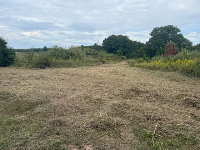 $29,900 | 13384 Swistier Drive, Remus, MI 49340