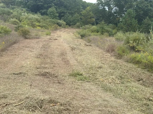 $29,900 | 13384 Swistier Drive, Remus, MI 49340