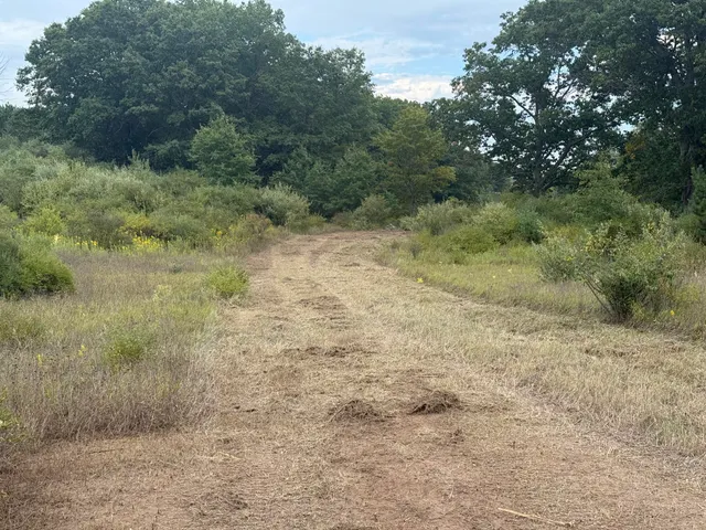 $29,900 | 13384 Swistier Drive, Remus, MI 49340