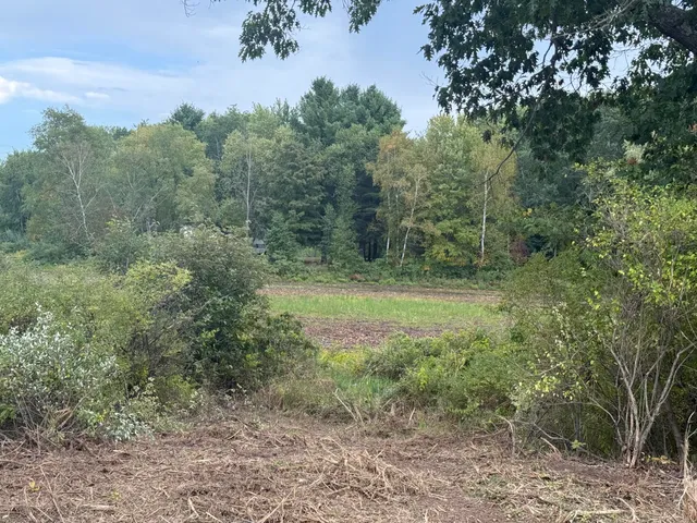 $29,900 | 13384 Swistier Drive, Remus, MI 49340