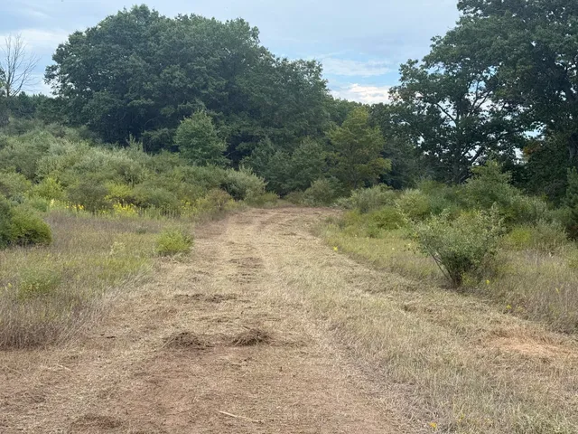 $29,900 | 13384 Swistier Drive, Remus, MI 49340