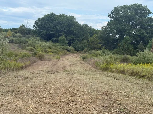 $29,900 | 13384 Swistier Drive, Remus, MI 49340