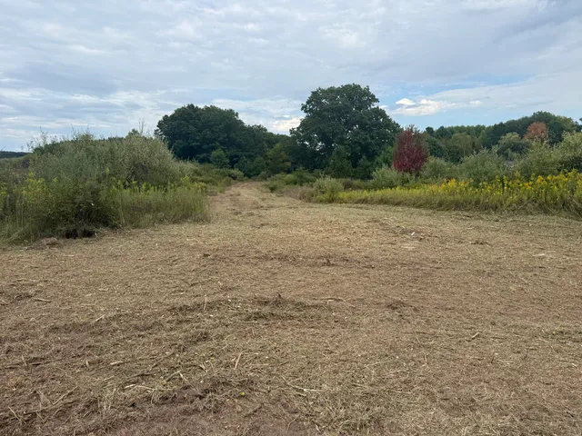 $29,900 | 13384 Swistier Drive, Remus, MI 49340