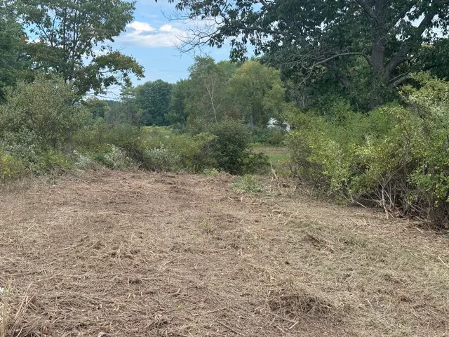 $29,900 | 13384 Swistier Drive, Remus, MI 49340