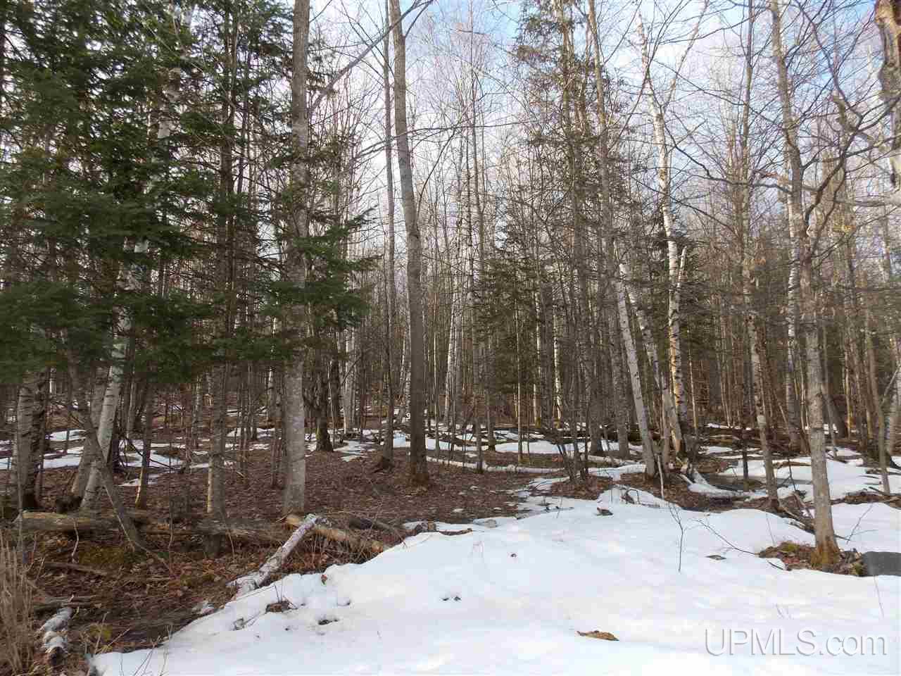 Tbd McNeil Road Baraga, MI 49908 - Photo 6 of 10 Gallery Image 6