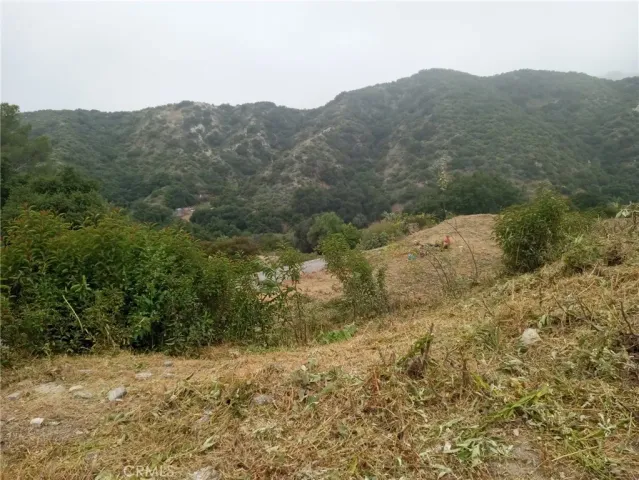 a view of a dry yard with mountains in the background