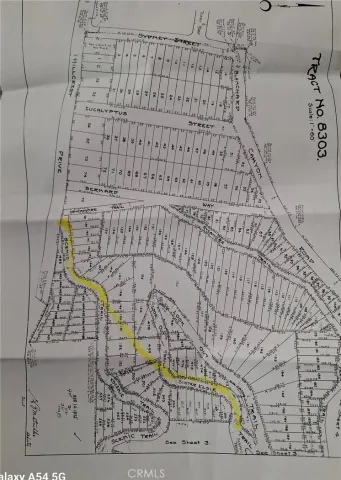 a view of a dry yard with trees