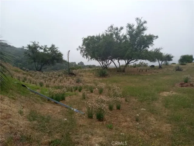 a view of a backyard of a house