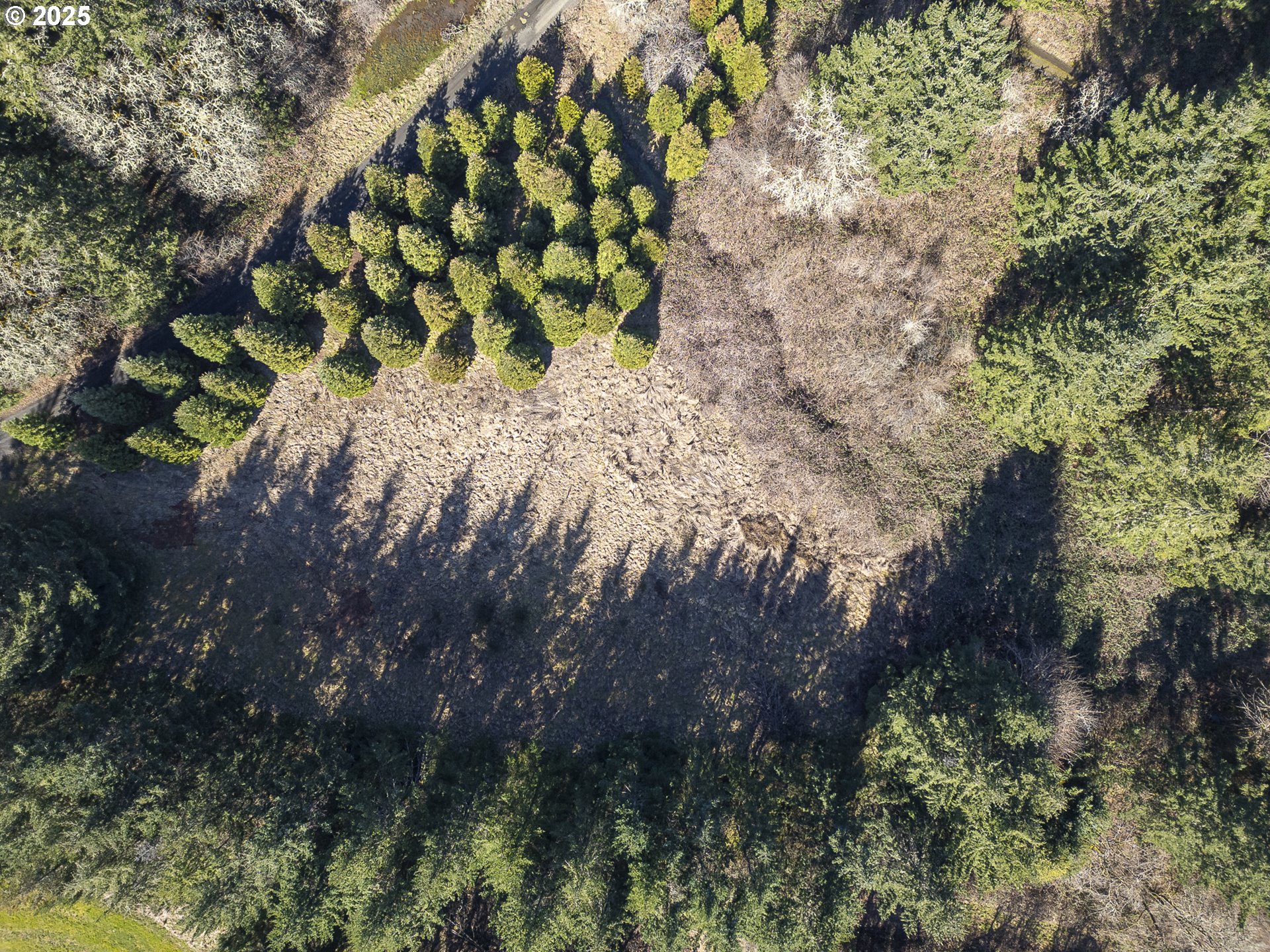 Orchard Knob Road Dallas, OR 97338 - Photo 6 of 8