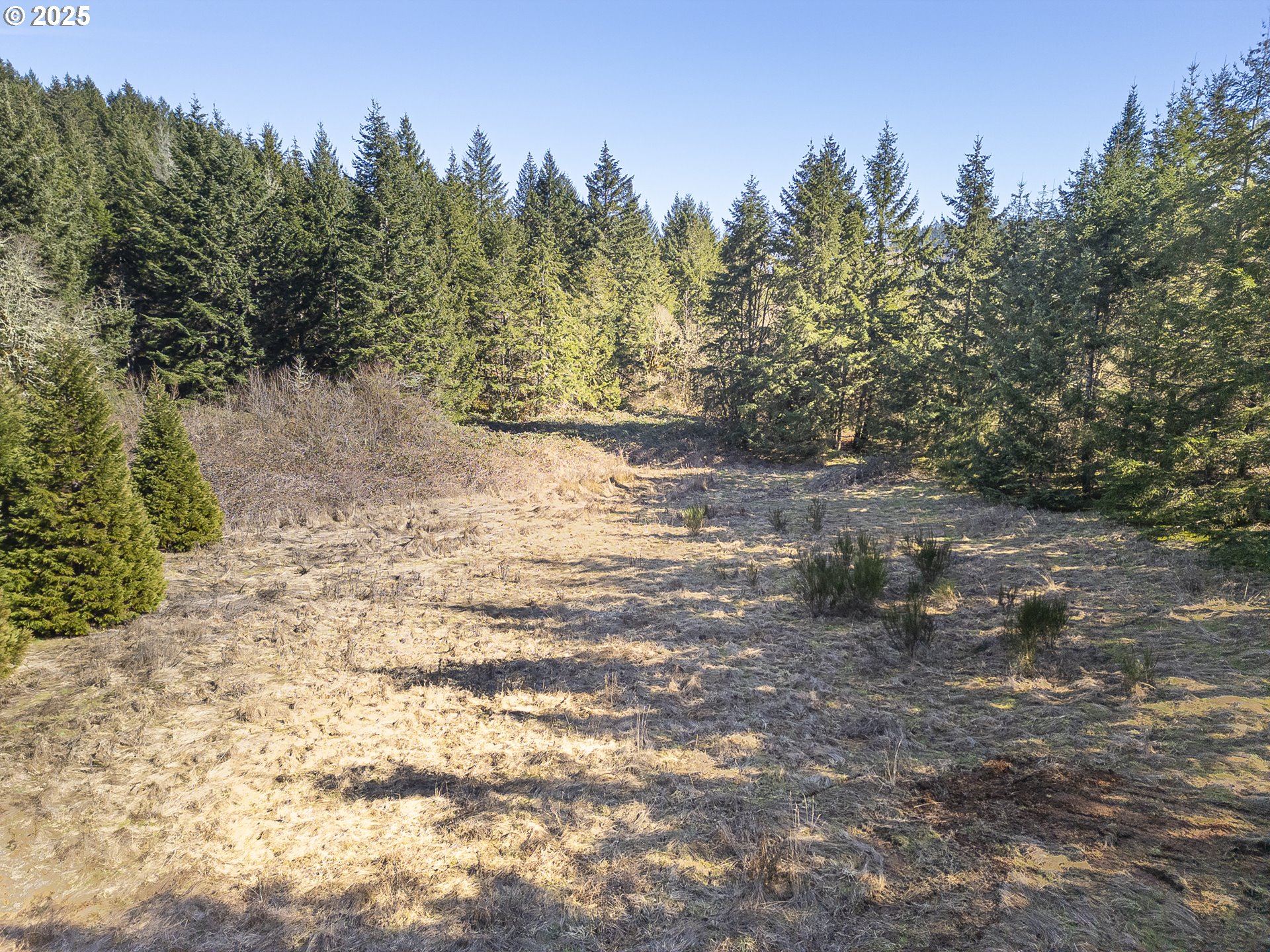 Orchard Knob Road Dallas, OR 97338 - Photo 7 of 8