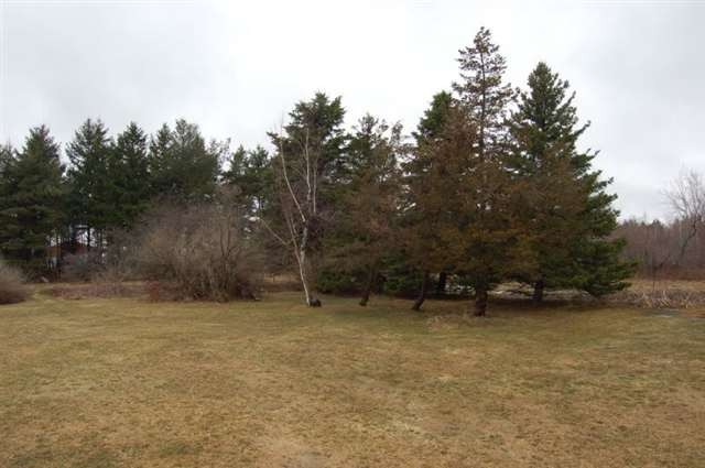 861 Levey Road Pattersonville, NY 12137 - Photo 11 of 12 Photo 11