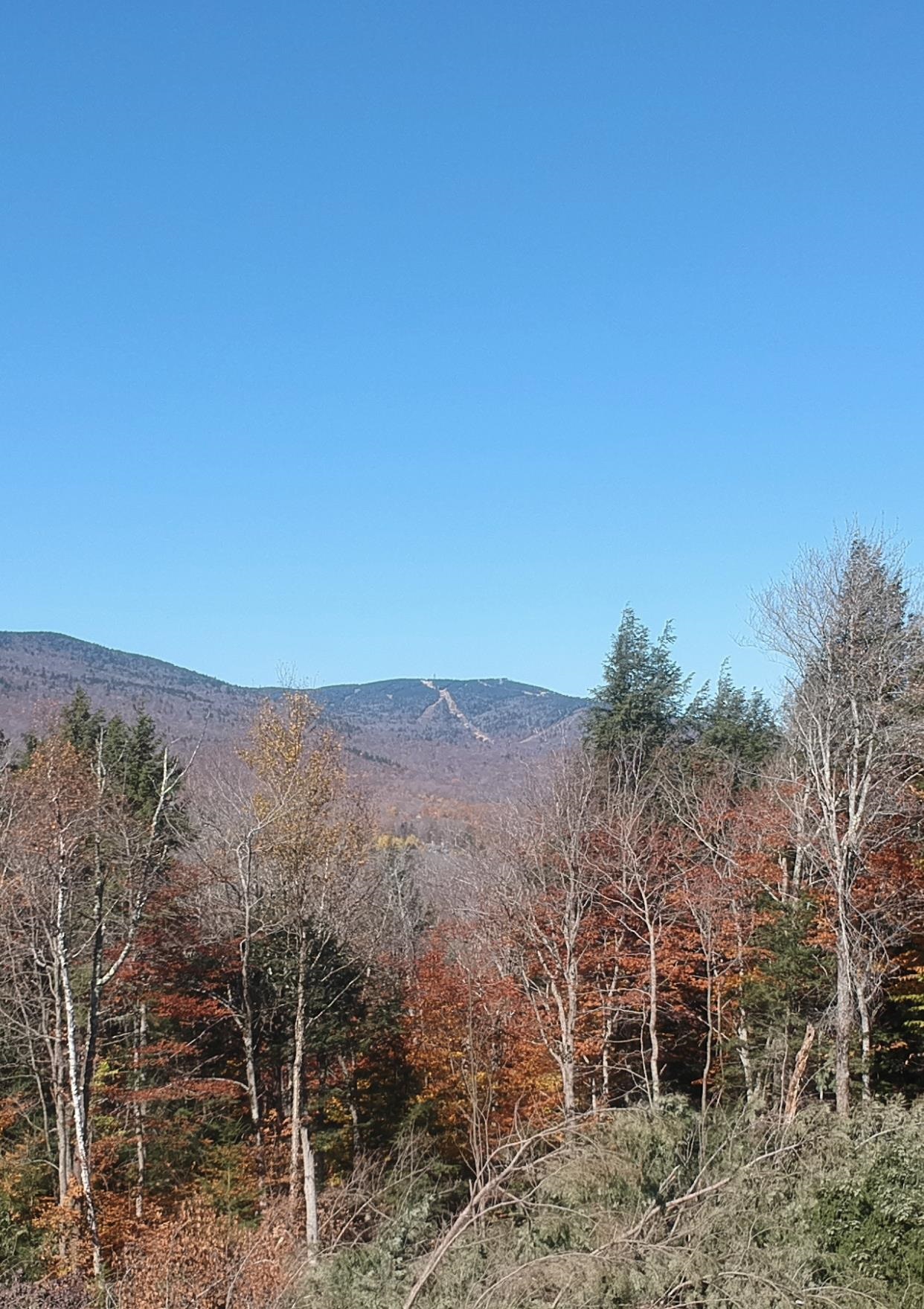4 Ralph May Road Wilmington, VT 05363 - Photo 4 of 9 Gallery Image 4