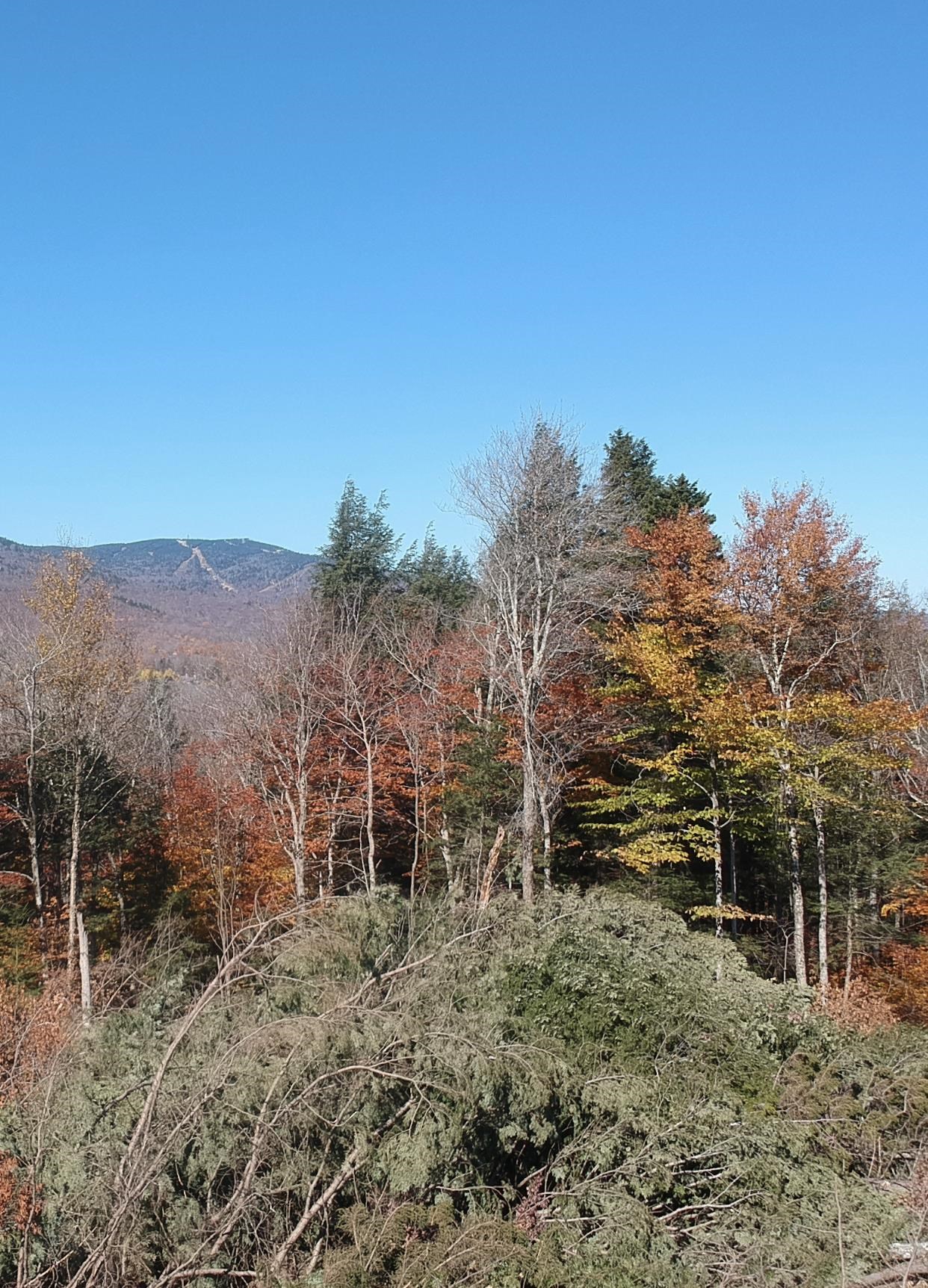 4 Ralph May Road Wilmington, VT 05363 - Photo 6 of 9 Gallery Image 6