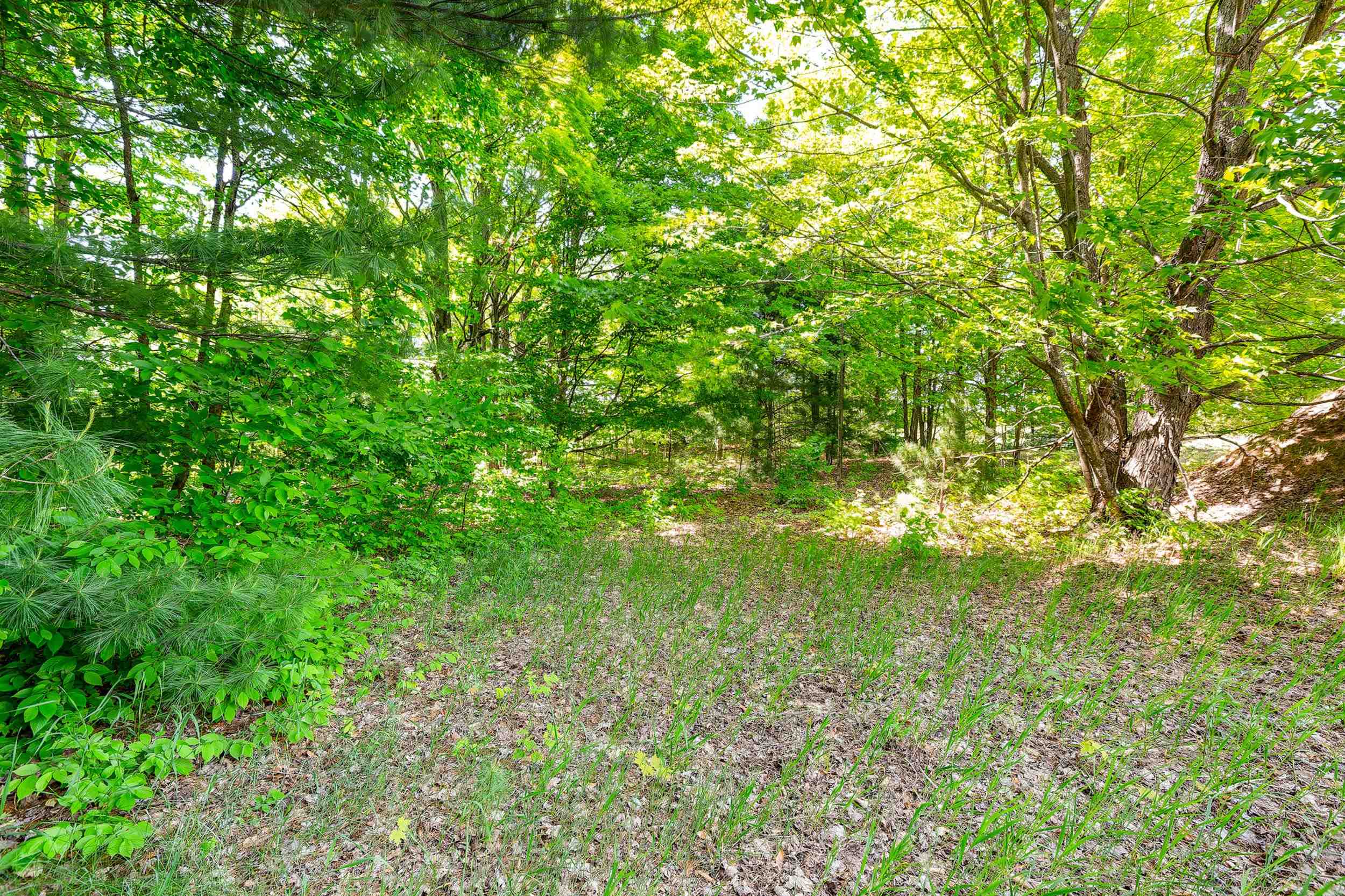 7764 South Weldon Road Thompsonville, MI 49683 - Photo 14 of 15