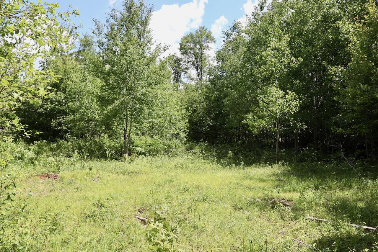 4473 Hamilton Drive Harrison, MI 48625 - Photo 55 of 77 43