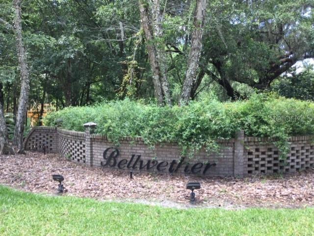 0 Southwest 37th Place Road Ocala, FL 34471 - Photo 1 of 1 a garden view with a seating space