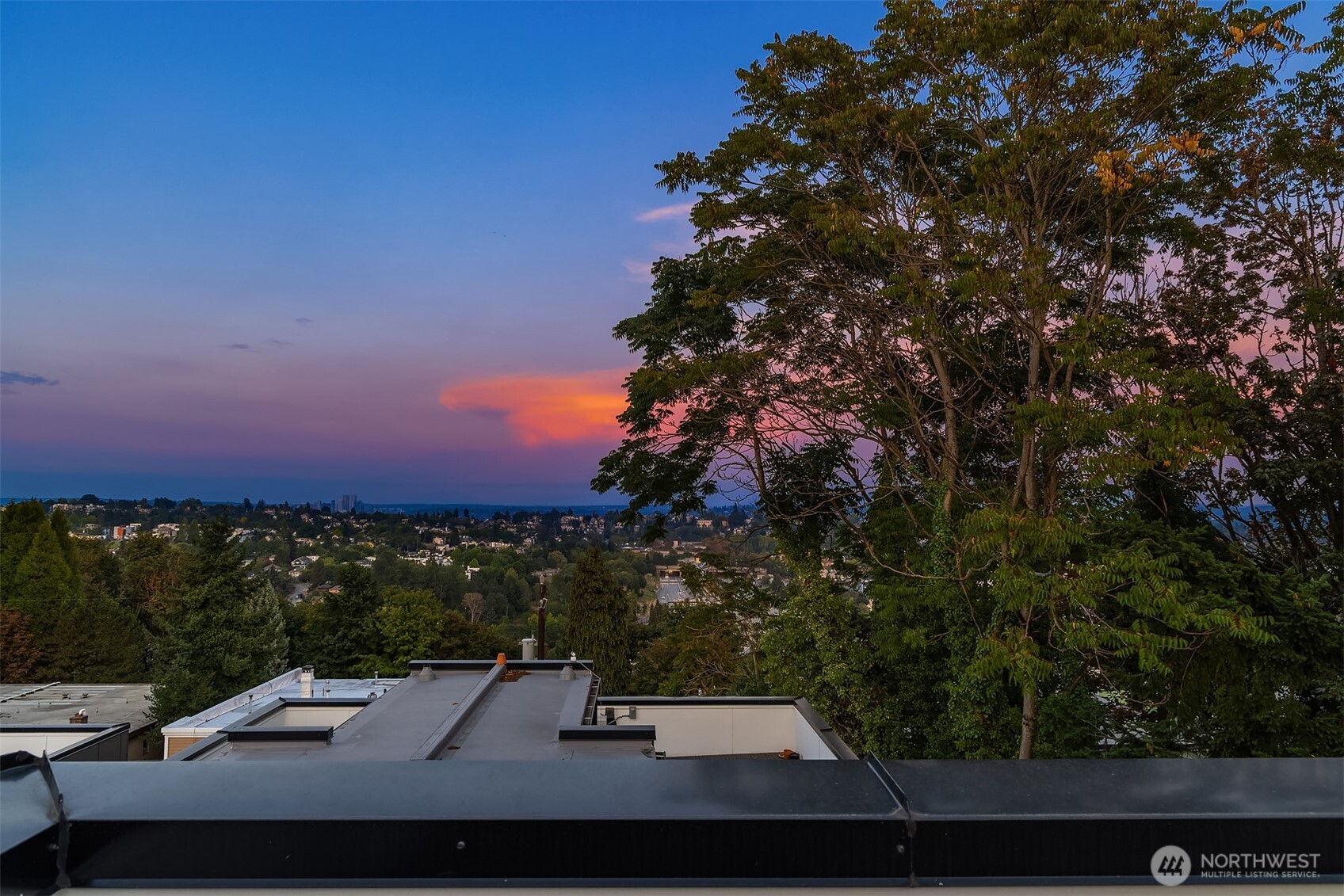 1319 14th Avenue South, Unit A Seattle, WA 98144 - Photo 24 of 27 a view of outdoor space and yard