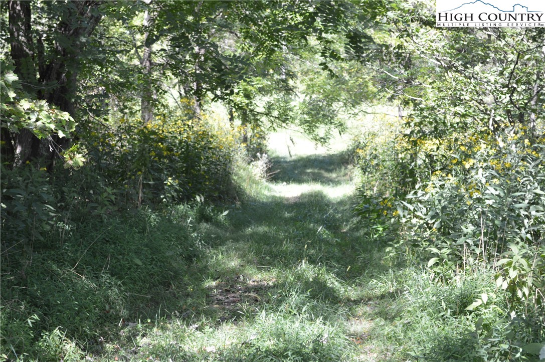 1828 Stratford Road Sparta, NC 28675 - Photo 25 of 44