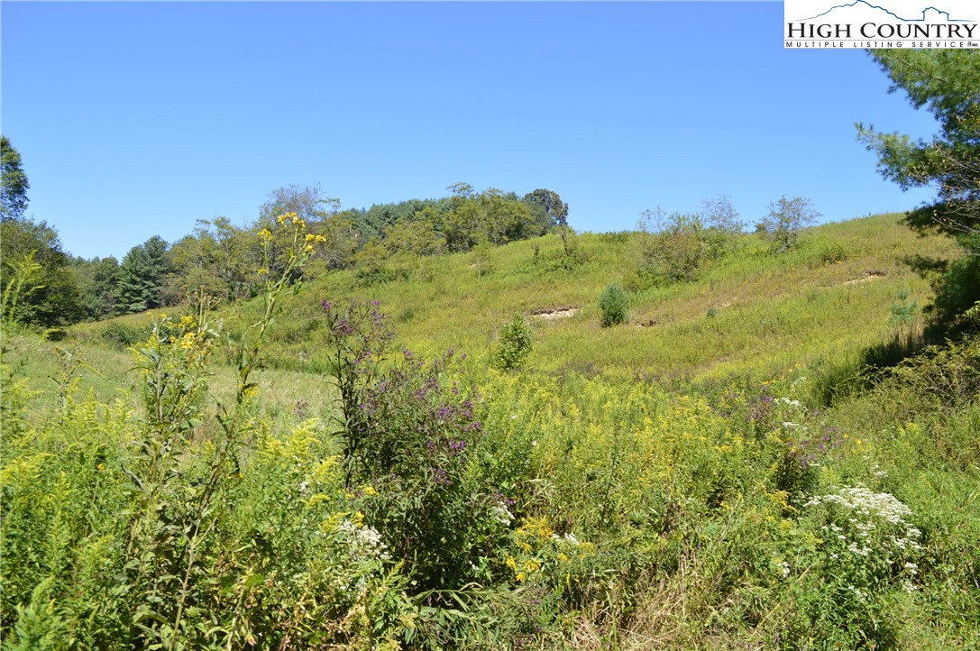 1828 Stratford Road Sparta, NC 28675 - Photo 28 of 44