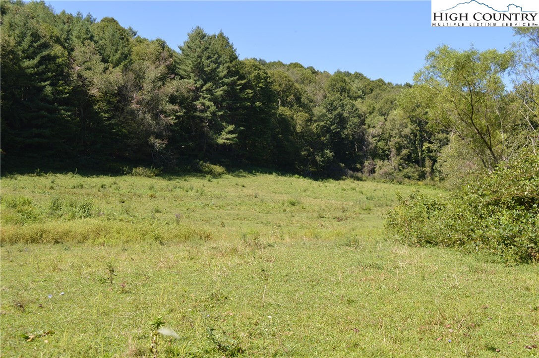 1828 Stratford Road Sparta, NC 28675 - Photo 31 of 44