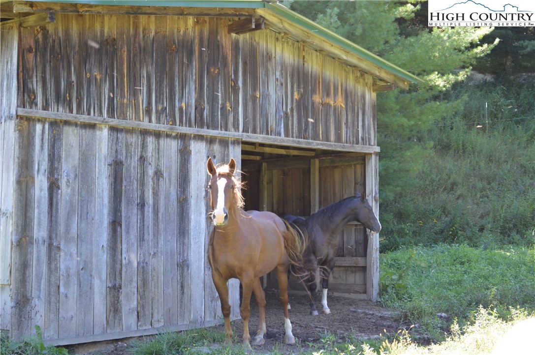 1828 Stratford Road Sparta, NC 28675 - Photo 32 of 44