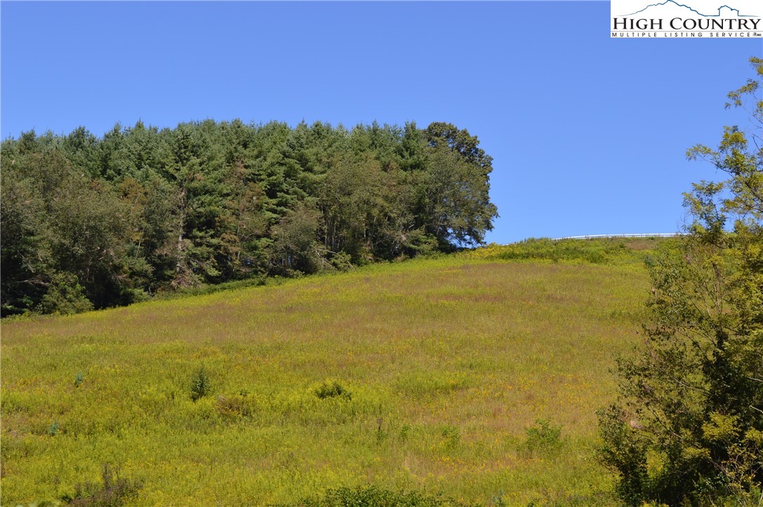 1828 Stratford Road Sparta, NC 28675 - Photo 33 of 44